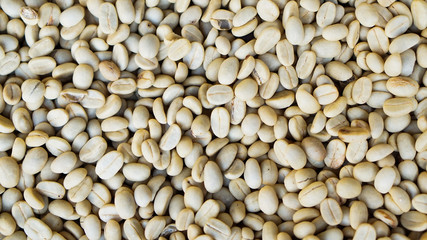 Raw coffee beans full background