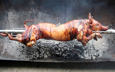 A piglet roasting at spit, traditional way, very tasty