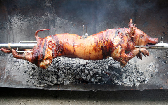 A piglet roasting at spit, traditional way, very tasty