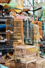 traditional bird market in Indonesia