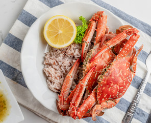 Cooked Steamed red crab on white plate food concept background, top view.