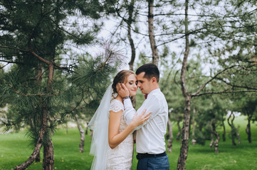 Fototapeta premium Beautiful newlyweds tenderly embrace in the forest against the background of green grass and pines. Wedding portrait of a stylish bride and a cute curly bride in a white dress.