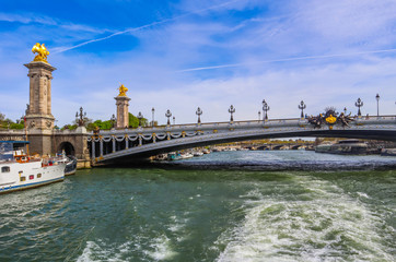 Fototapeta na wymiar Historic bridge (Pont Alexandre III) over the River Seine in Paris France