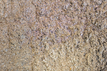 Abstract blur and blurry crumpled foil texture for background. Artistic color surface. Art photography. Toned image doesn’t in focus. Pattern for poster, print. Macro.
