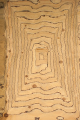 wood texture