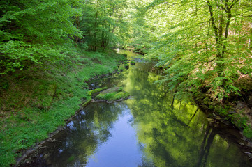 Fototapeta na wymiar Wood and rock landscape in Bohemian Switzerland, Kammintz George rocky ravine, Saxon Switzerland National Park