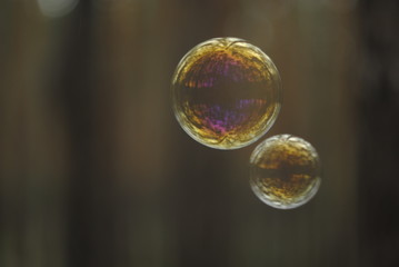 soap bubbles in the sky