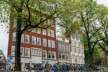 Amsterdam. Autumn streets with traditional houses. Urban landscape with bicycles and yellow tree. Netherlands.