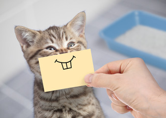 funny cat with crazy smile sitting near clean toilet