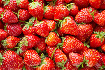 Fresh organic Strawberry fruit background Top view closeup