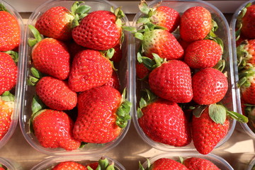 red ripe strawberries in the small boxes