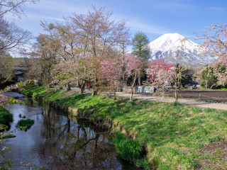 Fototapeta na wymiar 忍野村から見た富士山