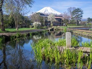 忍野村から見た富士山