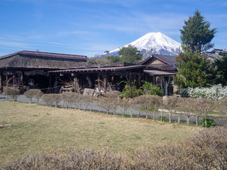 忍野村から見た富士山