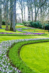 Keukenhof park in Netherlands