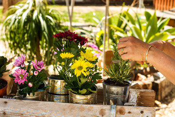 Manos de mujer con plantas y flores en el jardín al aire libre. Vista de frente y de cerca