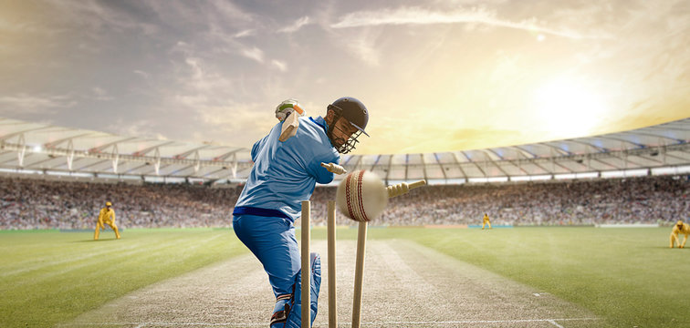 Rear View Of Cricket Ball Hitting the Stumps Behind the Batsman	