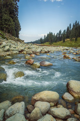 A crystal clear stream with blue waters  flowing through a wide mountain valley in Doodhpathri, Kashmir. Large boulders in a fast moving stream