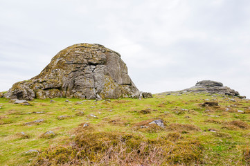 Dartmoor, Devon, Hound Tor, Heidelandschaft, Moor, Felsen, Klettern, Wanderweg, Frühling, Südengland