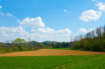 Field and green mountains view at sunny day