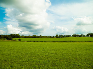 Green field in the Kashubian countryside. Poland.