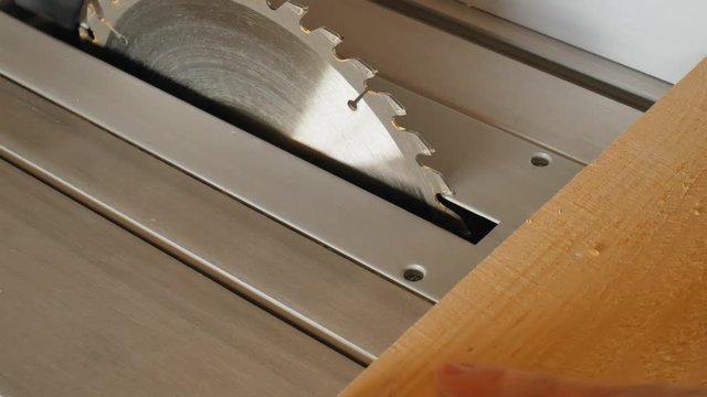 Circular in action. Woodworker rip cut saws ash plank on a table saw. Joiner at work.