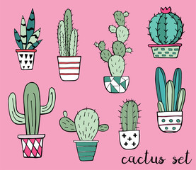 Cactus and succulent hand drawn set. Doodle flowers in pots. Vector colorful cute house interior plants