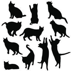 Set vector silhouettes of the cat, different poses, standing, jumping and sitting,  black color, isolated on white background
