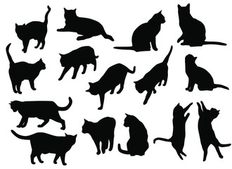 Set vector silhouettes of the cat, different poses, standing, jumping and sitting,  black color, isolated on white background