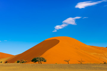 Fototapeta na wymiar The dune 40 in Sossusvlei, Namib Naukluft National Park, Namibia