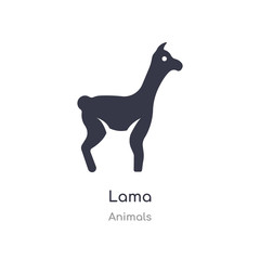 lama icon. isolated lama icon vector illustration from animals collection. editable sing symbol can be use for web site and mobile app