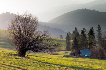 Wiosenne Pieniny U Podnóża Wysokiego Wierchu  © Wojciech Lisiński