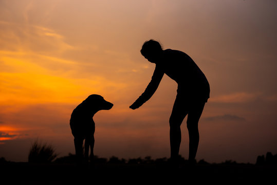 Silhouette women playing with dog at sunset - Image