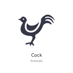 Fototapeta na wymiar cock icon. isolated cock icon vector illustration from animals collection. editable sing symbol can be use for web site and mobile app