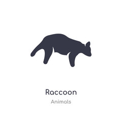 raccoon icon. isolated raccoon icon vector illustration from animals collection. editable sing symbol can be use for web site and mobile app