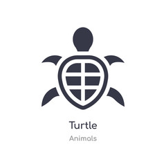 turtle icon. isolated turtle icon vector illustration from animals collection. editable sing symbol can be use for web site and mobile app