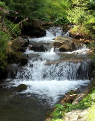Cascade of falls on the mountain small river in the Ukrainian Carpathians	