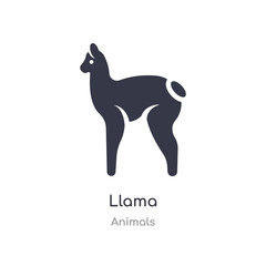 llama icon. isolated llama icon vector illustration from animals collection. editable sing symbol can be use for web site and mobile app