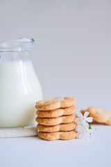Milk and cookies on the white background