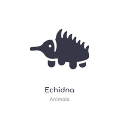 echidna icon. isolated echidna icon vector illustration from animals collection. editable sing symbol can be use for web site and mobile app