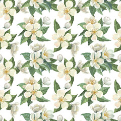 Fototapeta na wymiar Seamless pattern with white watercolor flowers, green leaves