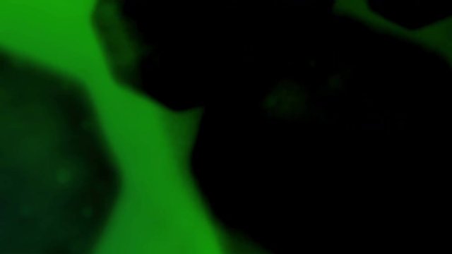 Chemistry Microscope Loop hexogen green