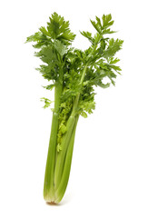 celery on a white background