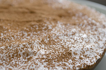 Close-up. Cocoa sprinkle. Texture. Macro. Background. Brownie.