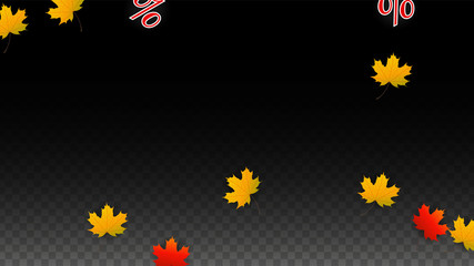 Vector Percentage Sign and Autumn Leaves Confetti on Transparent Background. Percent Sale Background. Business, Economics, Finance Print. Discount Illustration. Promotion poster. Black Friday Banner. 