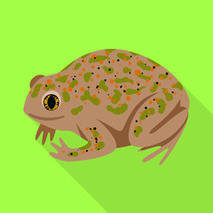 Isolated object of toad and tropical symbol. Collection of toad and green stock symbol for web.