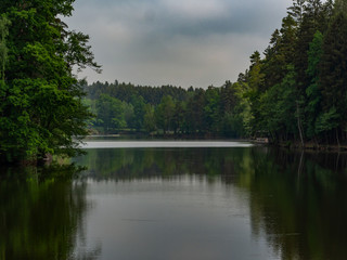 Fototapeta na wymiar Pond in the forest on a cloudy day