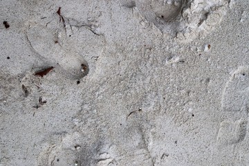 Beautiful shots of the white beaches on the Seychelles paradise island with footprints and water...