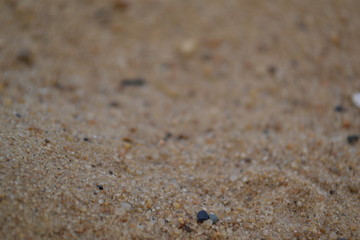 Fototapeta na wymiar yellow sand close-up for background