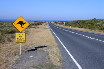 Achtung Kängurus an der Great Ocean Road in Australien